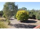 61 Torr Street, Mintaro SA 5415