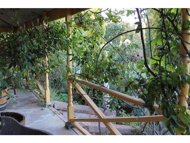 134 Scobie Road, Armagh SA 5453