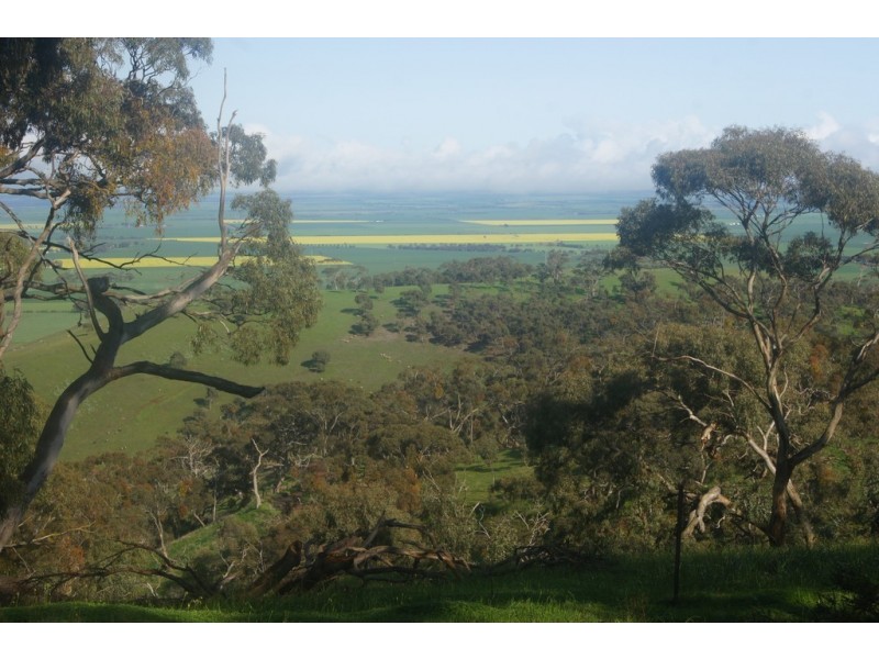 134 Scobie Road, Armagh SA 5453