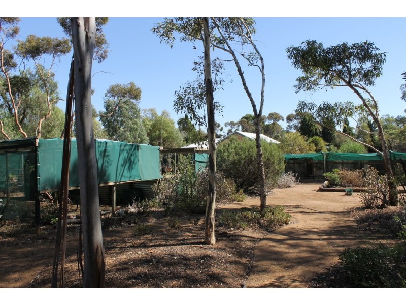 26 Broughton Road, Yacka SA 5470