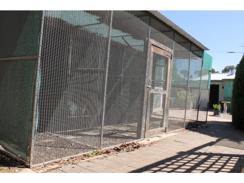 26 Broughton Road, Yacka SA 5470