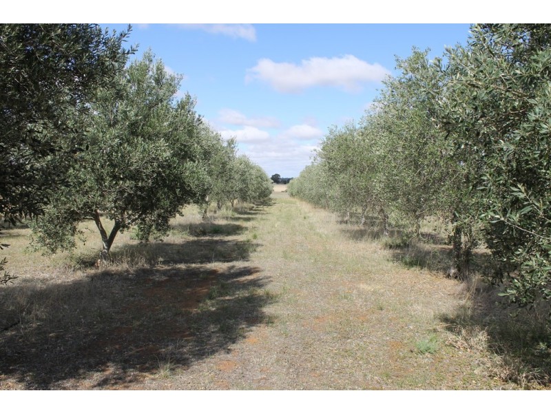 44 Stone Reserve Road, Halbury SA 5461