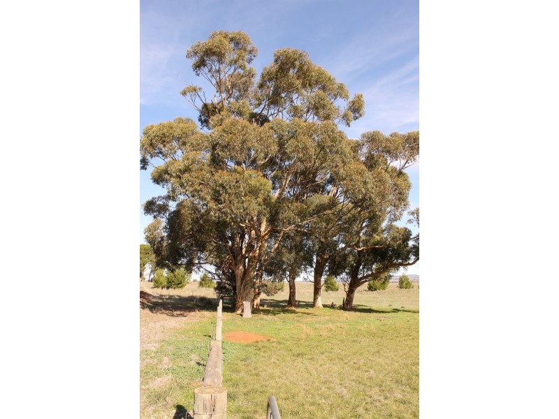 Lot 23 Staveley Street, Farrell Flat SA 5416