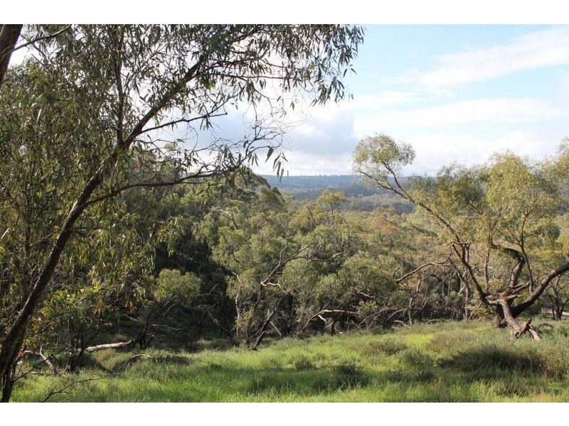 Lot 3 Possingham Pitt Road, Sevenhill SA 5453
