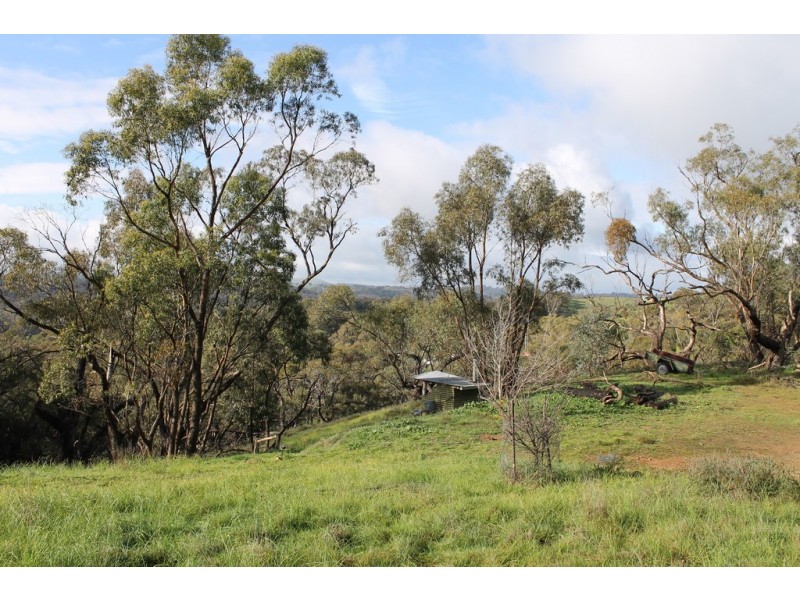 Lot 3 Possingham Pitt Road, Sevenhill SA 5453