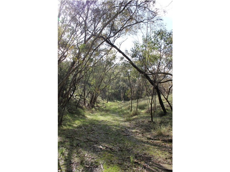 Lot 3 Possingham Pitt Road, Sevenhill SA 5453