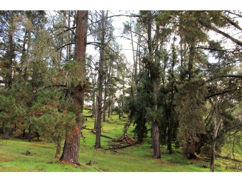 Lot 3 Possingham Pitt Road, Sevenhill SA 5453