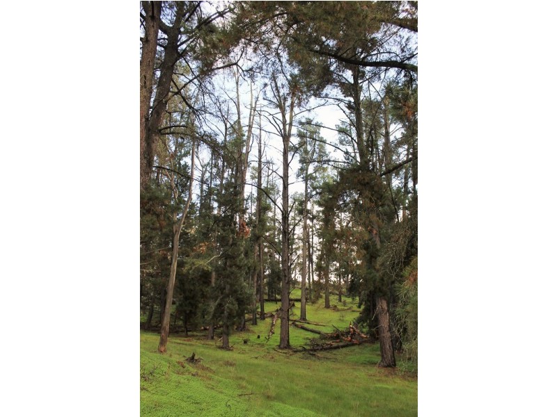 Lot 3 Possingham Pitt Road, Sevenhill SA 5453