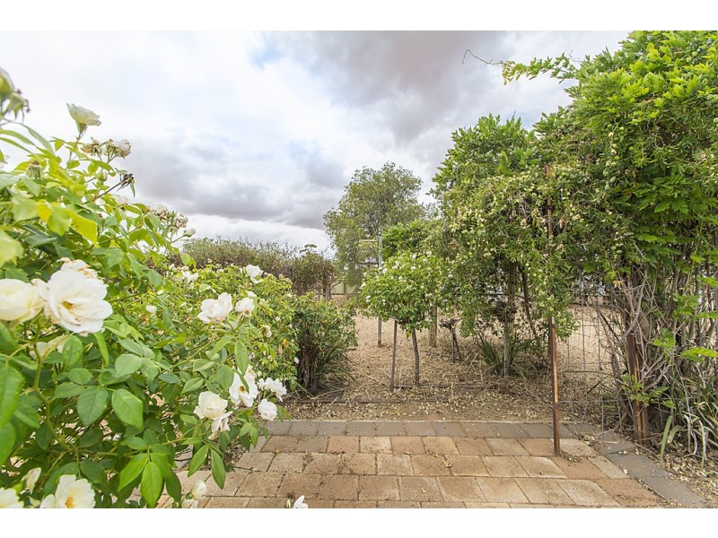 15 Racecourse Road, Balaklava SA 5461