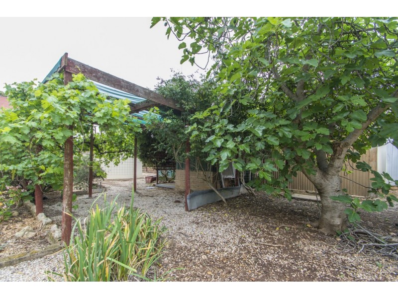 2 Mugges Court, Blyth SA 5462