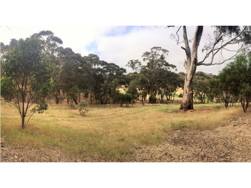 Lot 46 Norman Drive, Stanley Flat SA 5453