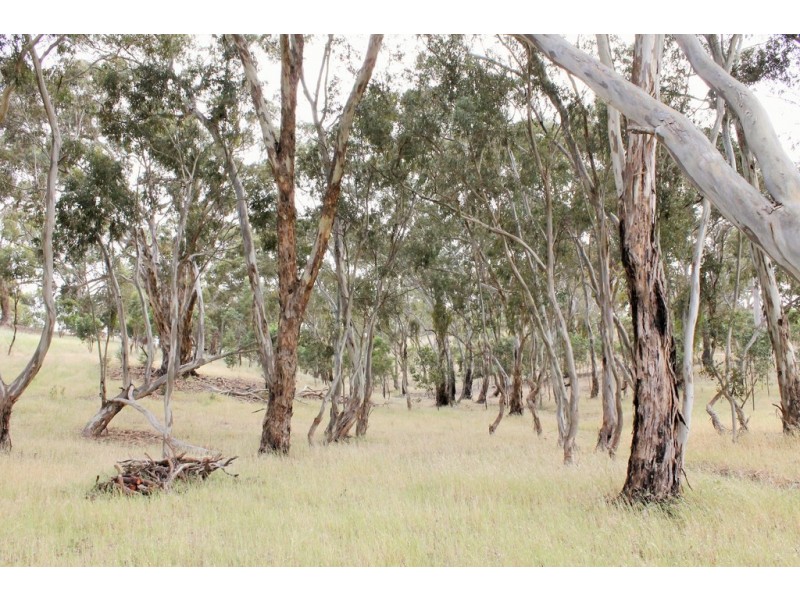 Lot 46 Norman Drive, Stanley Flat SA 5453