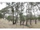 Lot 46 Norman Drive, Stanley Flat SA 5453