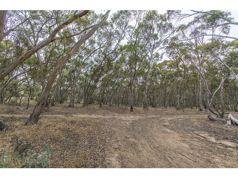 56 Emu Flat Road, Armagh SA 5453