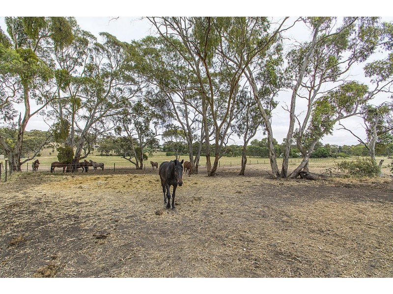 56 Emu Flat Road, Armagh SA 5453