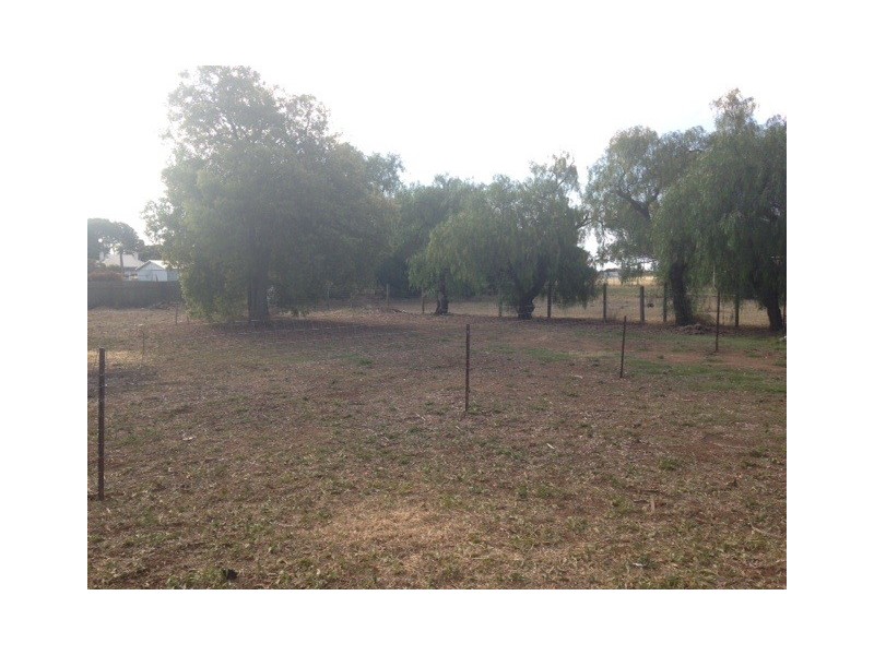 12 Railway Tce, Gulnare SA 5471