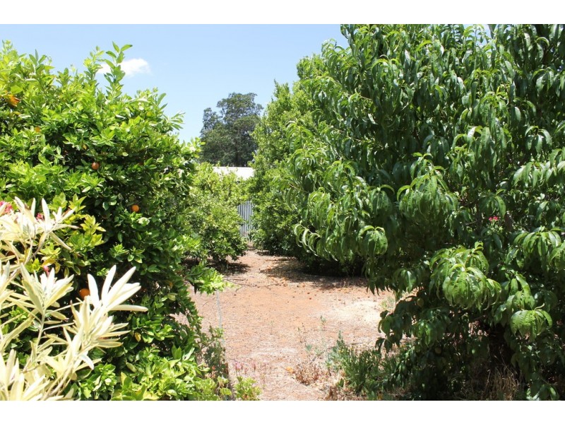 24 Harris Street, Balaklava SA 5461