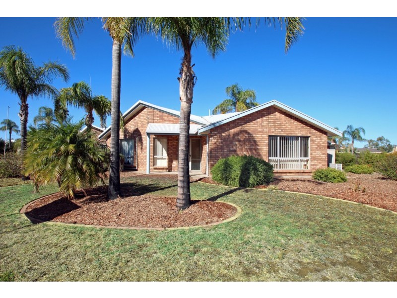 46 Meander Avenue, Renmark SA 5341