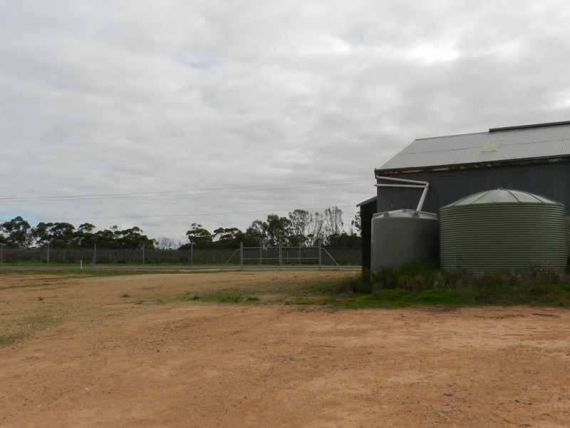 40 Skellon Road, Berri SA 5343