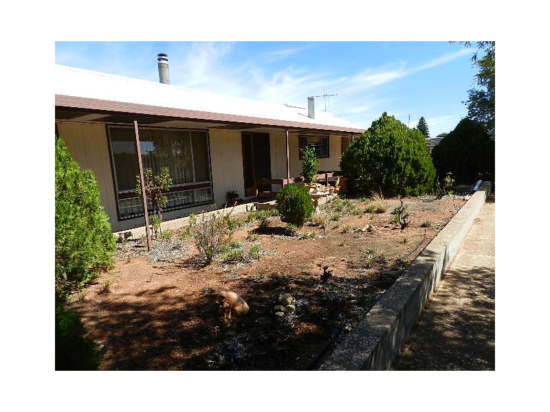53 Gaskell Road, Barmera SA 5345