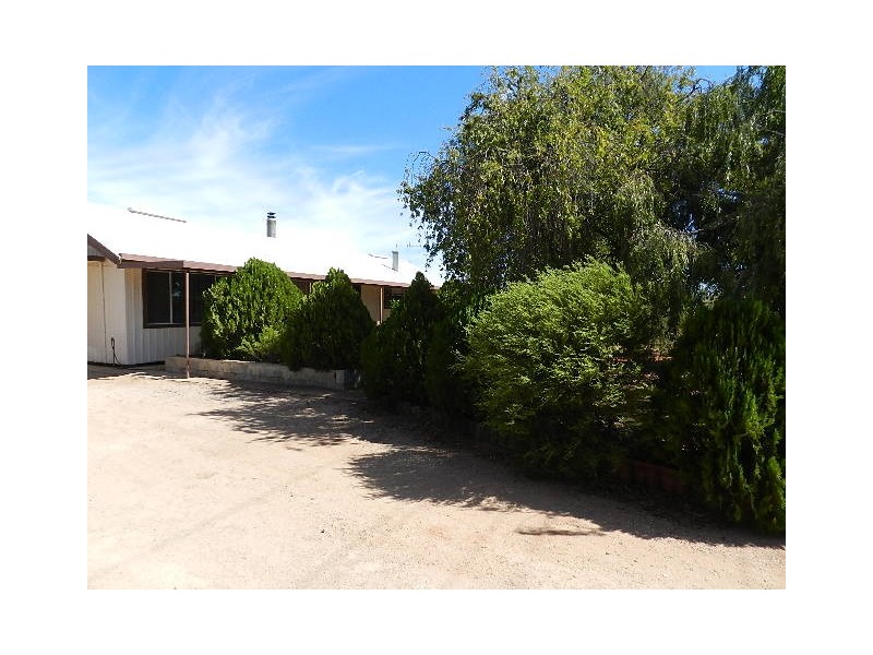 53 Gaskell Road, Barmera SA 5345