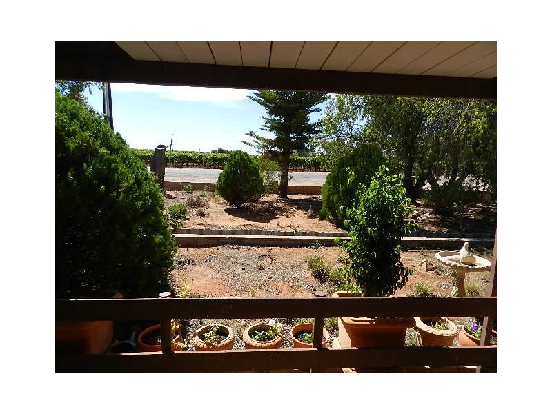 53 Gaskell Road, Barmera SA 5345