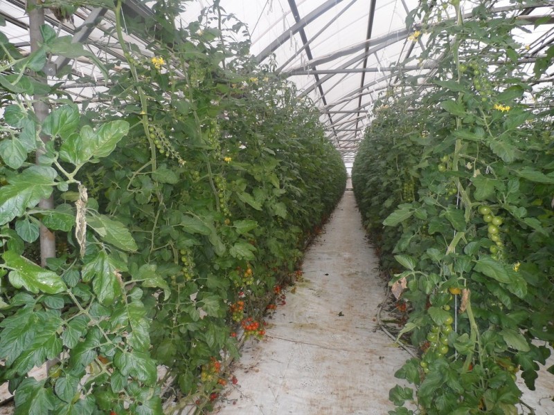 10 Derrick Road, Loxton North SA 5333