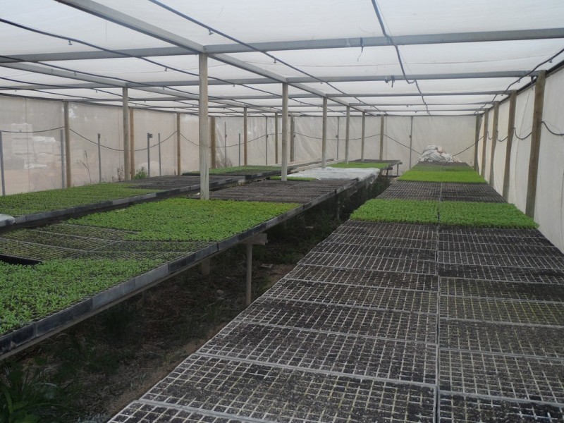 10 Derrick Road, Loxton North SA 5333