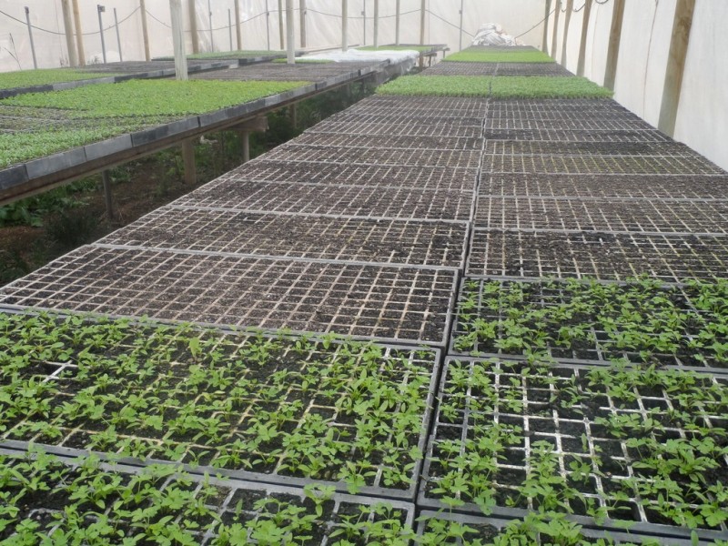 10 Derrick Road, Loxton North SA 5333