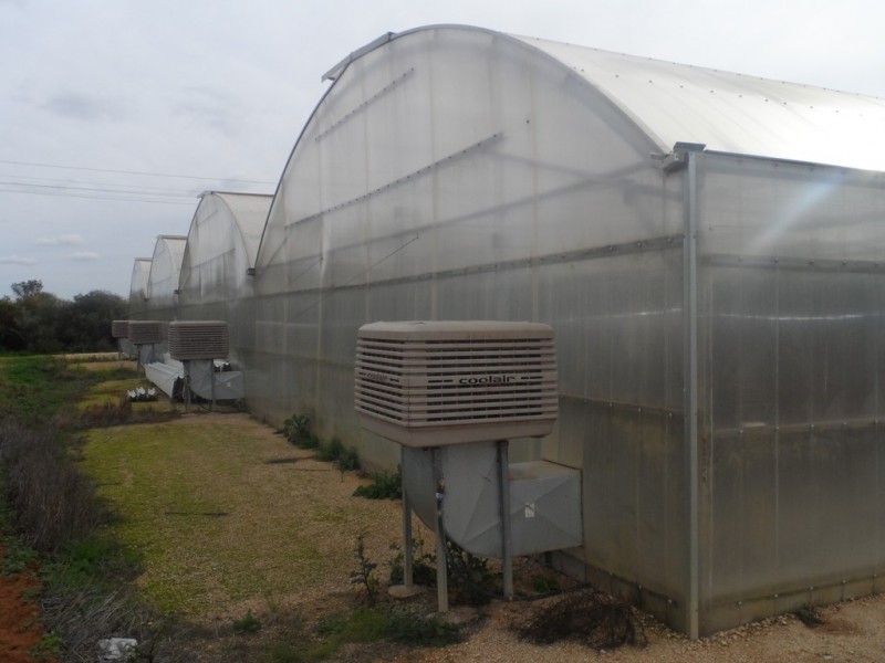 10 Derrick Road, Loxton North SA 5333