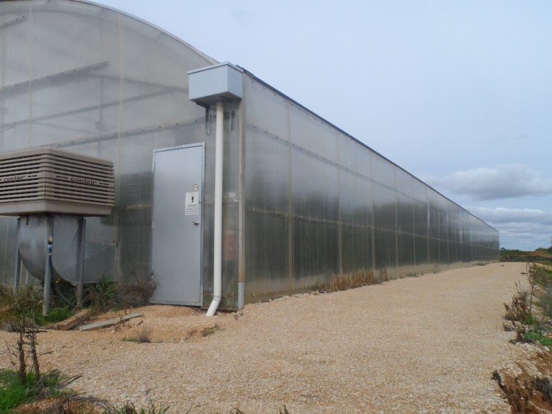 10 Derrick Road, Loxton North SA 5333