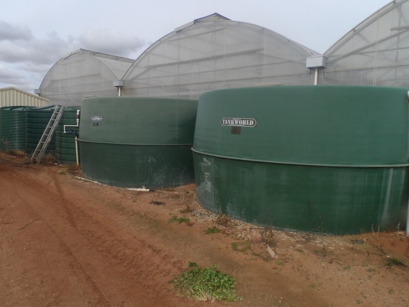 10 Derrick Road, Loxton North SA 5333