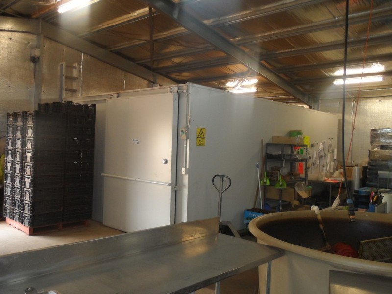 10 Derrick Road, Loxton North SA 5333