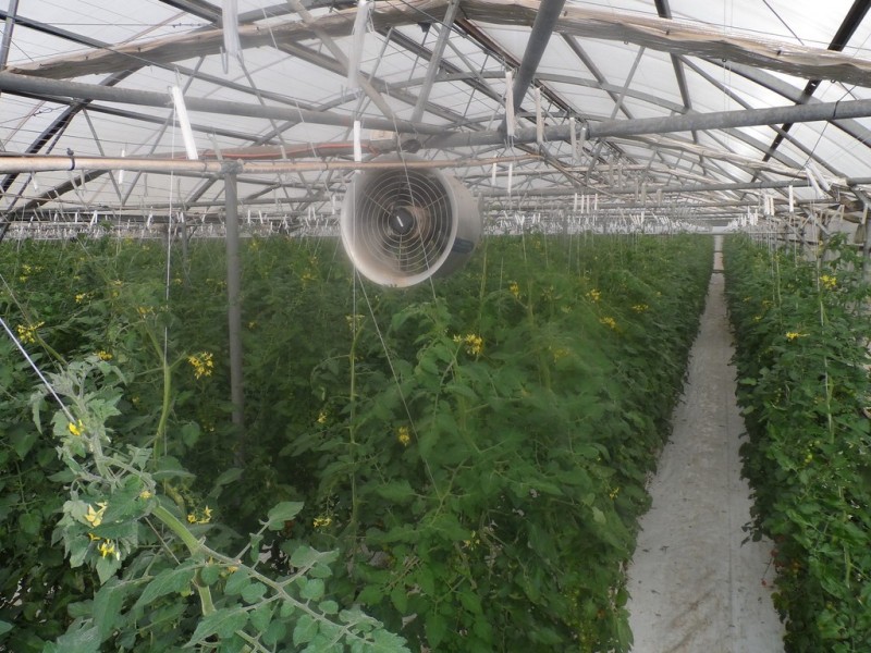 10 Derrick Road, Loxton North SA 5333