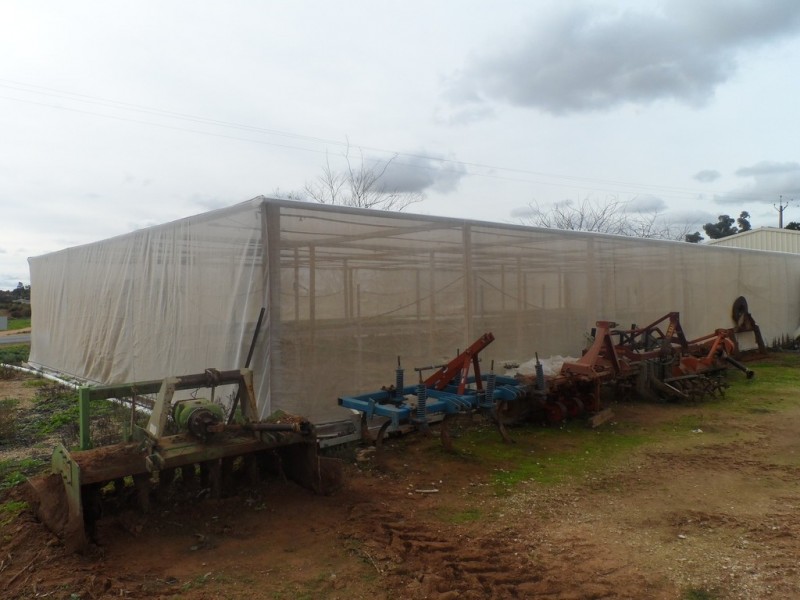 10 Derrick Road, Loxton North SA 5333