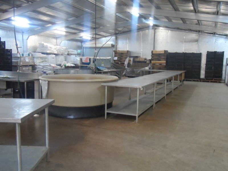 10 Derrick Road, Loxton North SA 5333