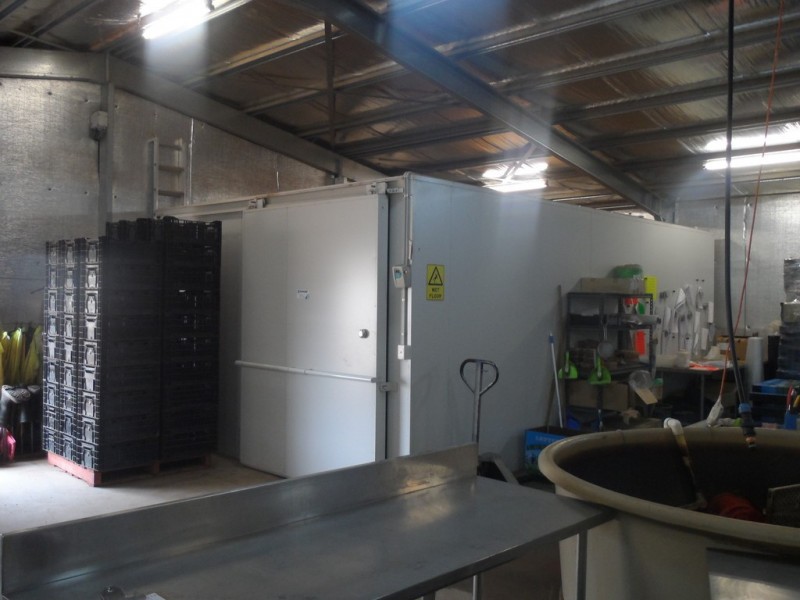 10 Derrick Road, Loxton North SA 5333