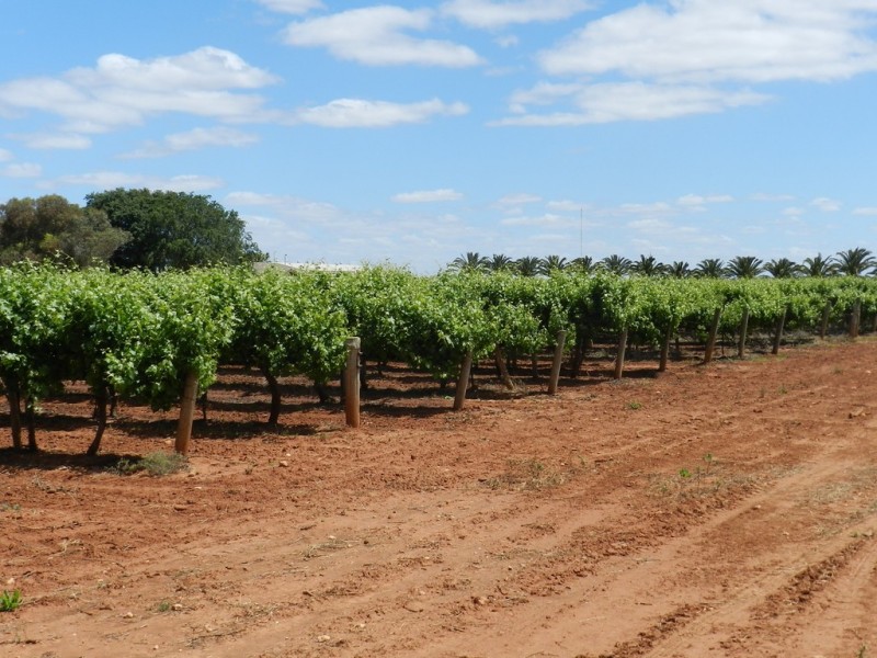 18554 Sturt Highway, Monash SA 5342