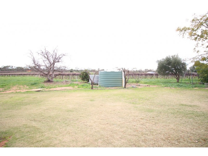 61 Moss Road, Monash SA 5342