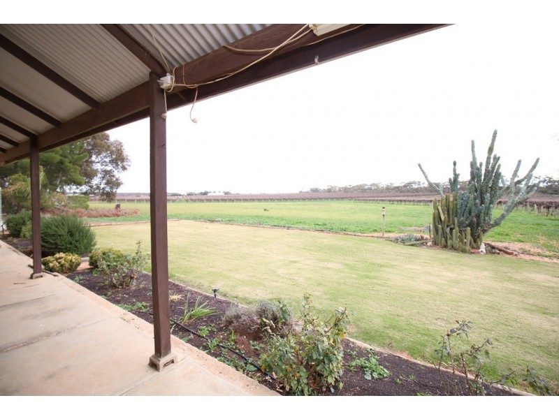 61 Moss Road, Monash SA 5342