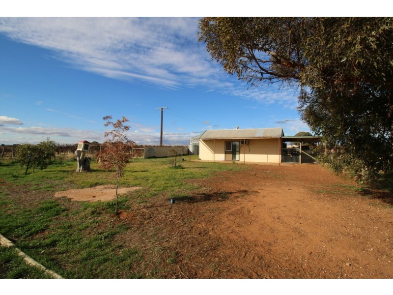 104 Coates Road, Barmera SA 5345