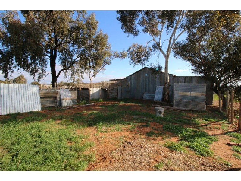 104 Coates Road, Barmera SA 5345