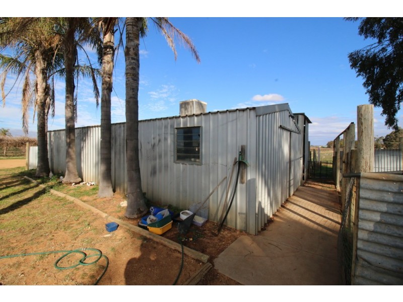 104 Coates Road, Barmera SA 5345