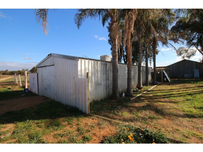 104 Coates Road, Barmera SA 5345