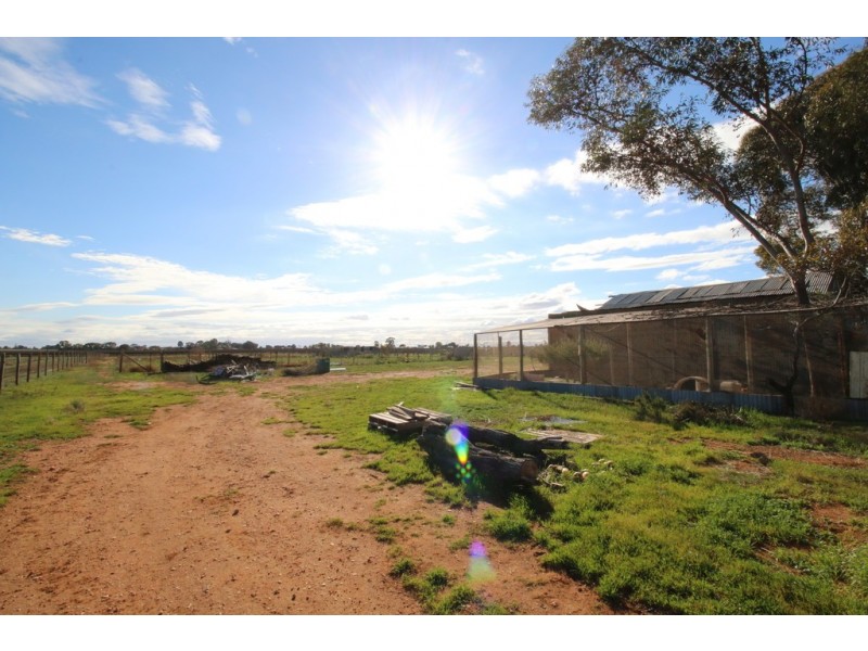 104 Coates Road, Barmera SA 5345