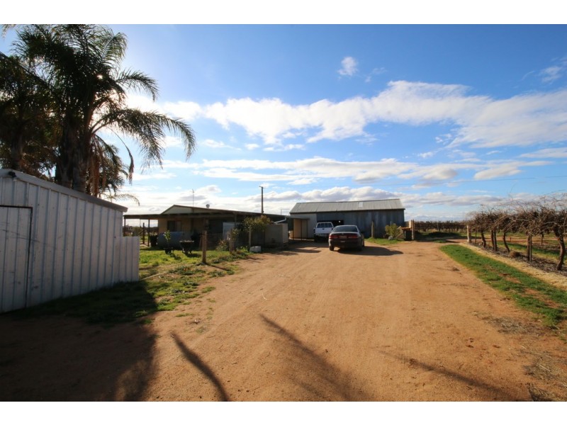 104 Coates Road, Barmera SA 5345