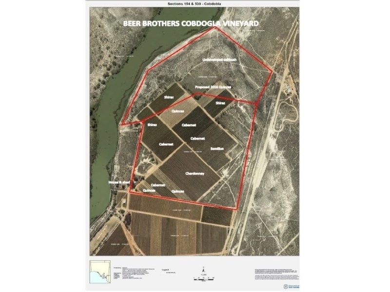 78 Clements Road, Cobdogla SA 5346