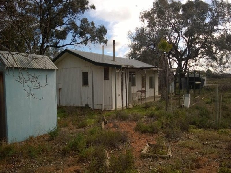 78 Clements Road, Cobdogla SA 5346