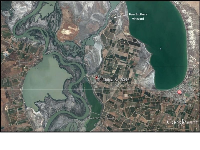 78 Clements Road, Cobdogla SA 5346