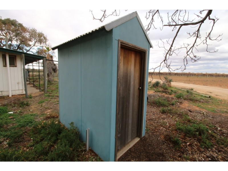 78 Clements Road, Cobdogla SA 5346